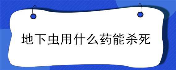 地下虫用什么药能杀死 地下虫用什么药能杀死它