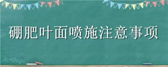 硼肥叶面喷施注意事项（硼肥叶面喷施注意事项有哪些）