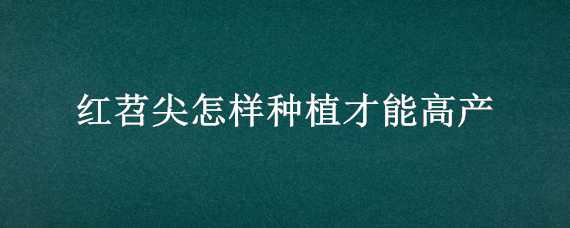 红苕尖怎样种植才能高产 红苕尖怎样种植才能高产呢