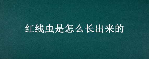 红线虫是怎么长出来的（红线虫是怎么长出来的图片）