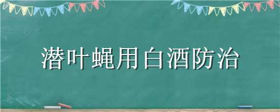 潜叶蝇用白酒防治 潜叶蝇防治方法