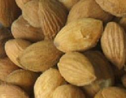 中药炒桃仁的功效与作用 中药炒桃仁的功效与作用禁忌