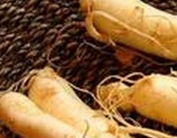 老人吃什么补品好（冬天老人吃什么补品好）