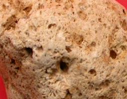 海浮石的功效与作用（海浮石的功效与作用及禁忌是什么）