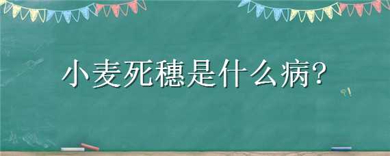 小麦死穗是什么病（小麦死穗是什么病症）