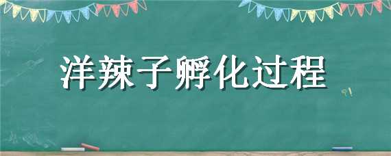 洋辣子孵化过程 洋辣子孵化过程图解