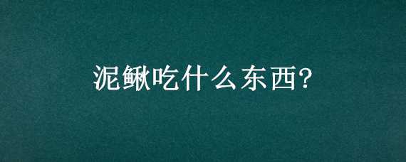 泥鳅吃什么东西?（泥鳅吃什么东西家养的）