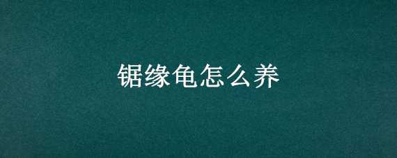 锯缘龟怎么养（锯缘龟怎么养背甲亮）