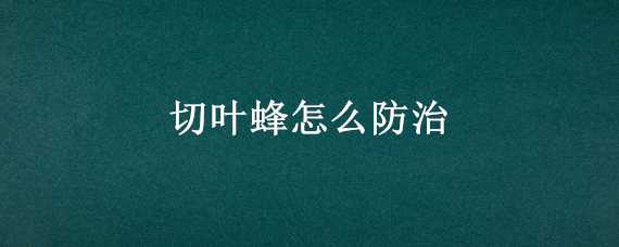 切叶蜂怎么防治 月季切叶蜂怎么防治