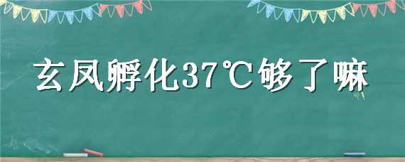 玄凤孵化37℃够了嘛（玄凤刚孵化出来怎么办）