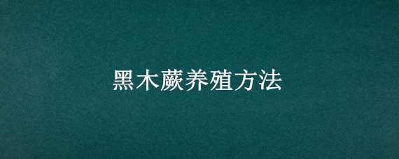 黑木蕨养殖方法 黑木蕨怎么养