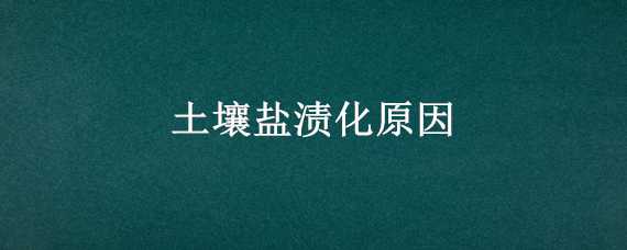 土壤盐渍化原因（土壤盐渍化原因与危害）