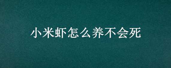 小米虾怎么养不会死（小米虾怎么养活）