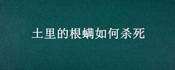 土里的根螨如何杀死 根螨的根治方法