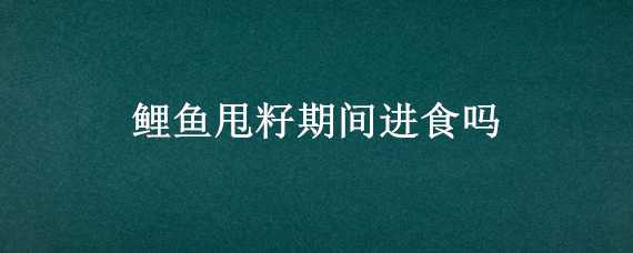 鲤鱼甩籽期间进食吗（鲤鱼在甩籽的时候吃食吗?）