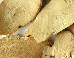 乌药的作用 乌药的作用与功能主治与禁忌