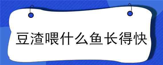 豆渣喂什么鱼长得快（豆渣喂什么鱼长得快呢）