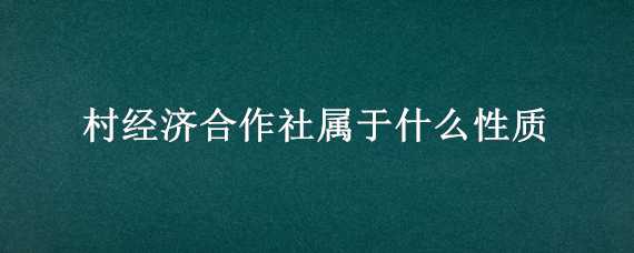 村经济合作社属于什么性质（村经济合作社是啥性质）