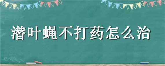 潜叶蝇不打药怎么治（潜叶蝇怎么治疗）