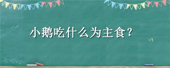 小鹅吃什么为主食 小鹅吃什么为主食最好