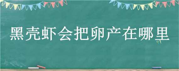 黑壳虾会把卵产在哪里（怎么知道黑壳虾快要产卵了）