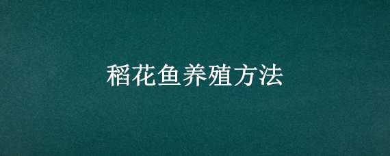 稻花鱼养殖方法（稻花鱼的养殖方法）