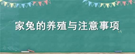 家兔的养殖与注意事项 养殖家兔要注意事项