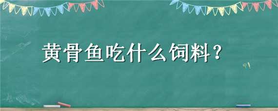 黄骨鱼吃什么饲料（黄骨鱼吃什么饲料视频）