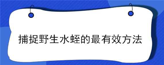 捕捉野生水蛭的最有效方法（如何捕捉野生水蛭）