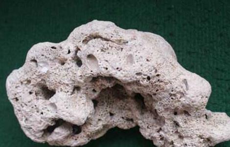 海浮石的功效与作用 中草药海浮石的功效与作用