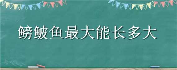 鳑鲏鱼最大能长多大 鲦鱼最大能长多大