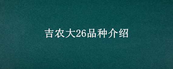 吉农大26品种介绍（吉农大26玉米种子简介）