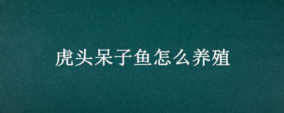 虎头呆子鱼怎么养殖（虎头呆子鱼怎么养殖方法）