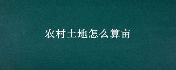 农村土地怎么算亩（农田怎么算亩）