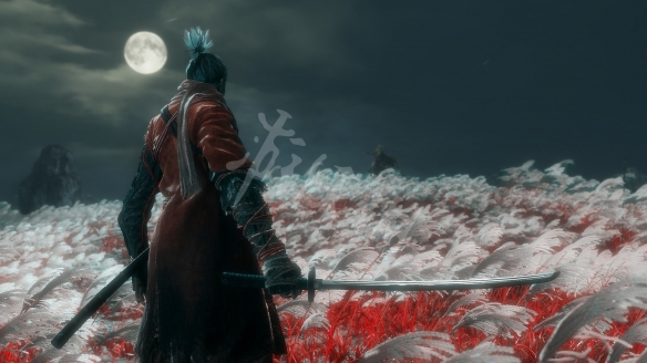 只狼影逝二度武士技能书在哪(只狼影逝二度怎么装备道具)