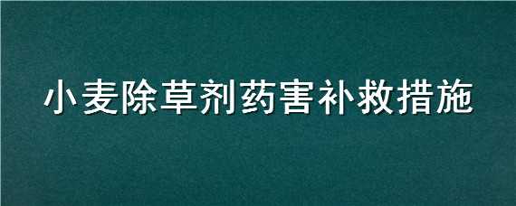 小麦除草剂药害补救措施 小麦除草剂药害补救措施图片