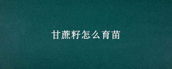 甘蔗籽怎么育苗 甘蔗籽怎么育苗视频