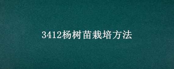 3412杨树苗栽培方法 杨树3412简介