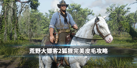 荒野大镖客2狐狸用什么枪打（荒野大镖客2狐狸用什么枪打三星）