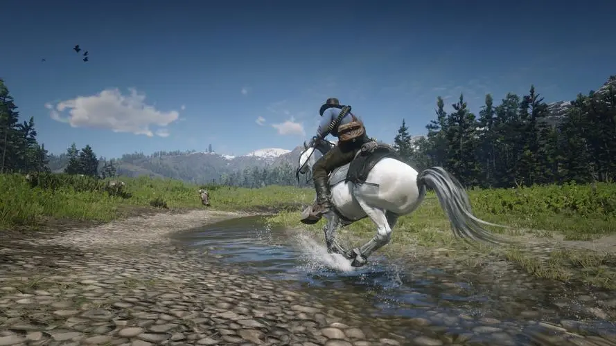 传说熊皮怎么用（传说熊皮怎么储存）