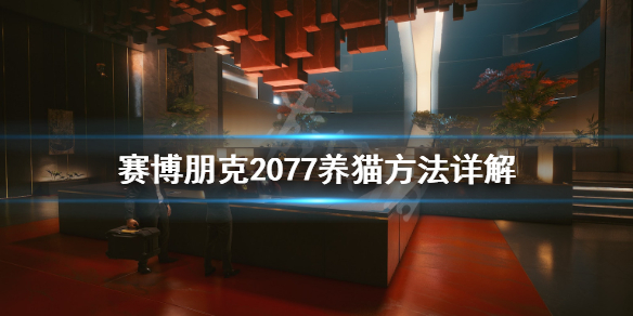 赛博朋克2077怎么养猫 赛博朋克2077养猫为什么犯法