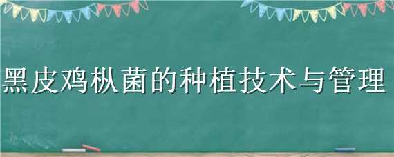 黑皮鸡枞菌怎么种植 黑皮鸡枞菌种植成本利润