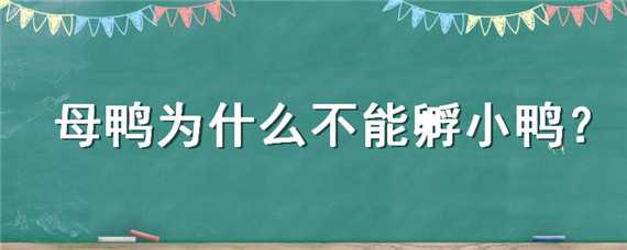 母鸭为什么不能孵小鸭 母鸭能孵出小鸭吗