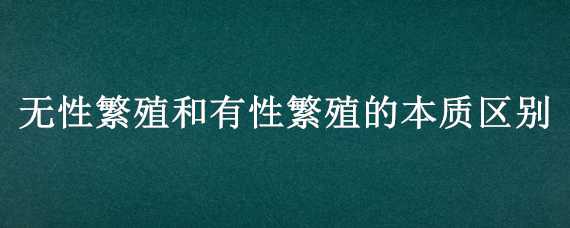 无性繁殖和有性繁殖的本质区别（有性与无性繁殖区别）