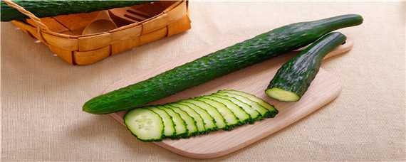 露天黄瓜株距多少 种黄瓜株距多少