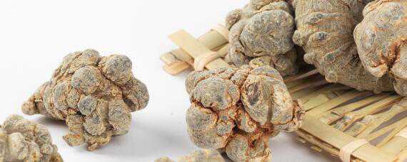 田七种植方法与生长环境 田七怎样栽培