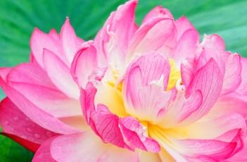 展宏图 展宏图的对联励志对联