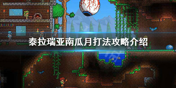 泰拉瑞亚南瓜月怎么过(泰拉瑞亚南瓜月怎么过关)