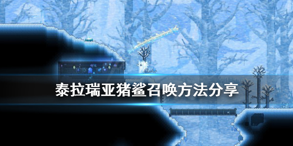 泰拉瑞亚猪鲨怎么召唤(泰拉瑞亚松露虫)