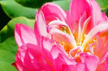 红颜滴翠 红红翠翠意浓